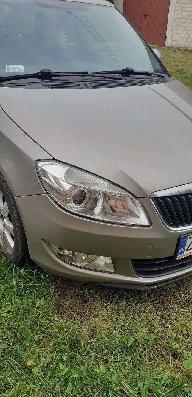 Skoda Fabia cena 11000 przebieg: 183000, rok produkcji 2010 z Złotów małe 56